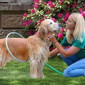 Pet Washer - Easy Tool Store With Big Discount