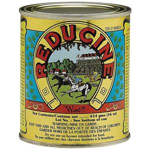 REDUCINE ABSORBENT EQUINE LINIMENT FOR HORSES Discount Latest Collections