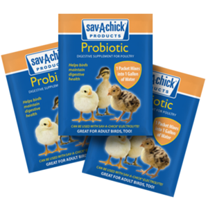 Sav-A-Chick® Probiotic Supplement For Sale Wholesale Pice