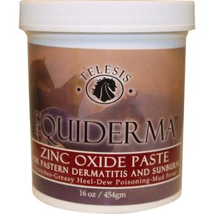 EQUIDERMA ZINC OXIDE PASTE FOR DERMATITIS & SUNBRN Buy Cheap Best