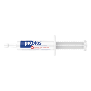 Durvet Probios® Equine One Oral Gel 30 gram Perfect