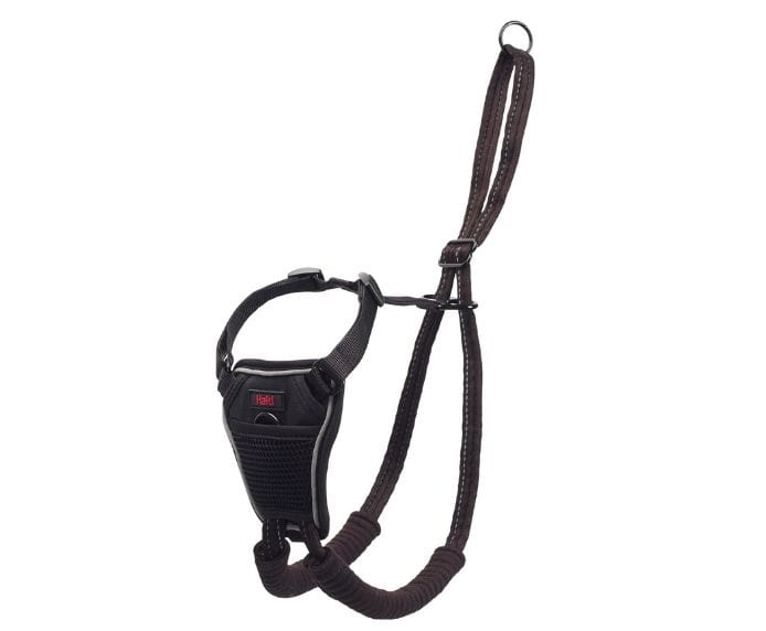 Company of Animals Halti No Pull Harness Free Shipping Online