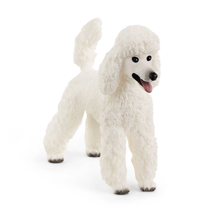 Poodle Sale Professional