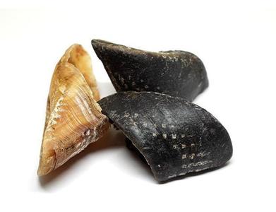 Beef Hoofs 1kg Free Shipping Official