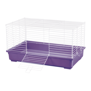 Kaytee My First Home Cage Shop For Online