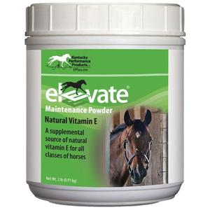 KENTUCKY PERFORMANCE PRODUCTS ELEVATE MAINTENANCE POWDER (2 LB) Cheap Sale Store