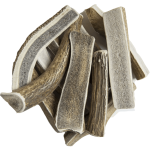 Split Elk Antlers for Large Dogs Exclusive Online