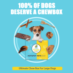 Ultimate Chew Box For All Sized Dogs Collections Cheap Online