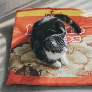 Dog & Cat Potato Chip Bag Pet Nest Hot Sale
