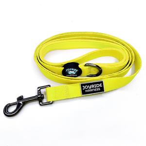 Sunshine Yellow Matching Dog Leash Buy Cheap Cheapest