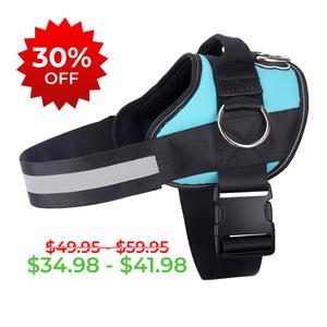 Teal Ocean Joyride Basic Essential Dog Harness 1.0 Cheap Sale The Cheapest