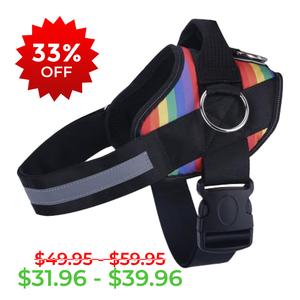 Rainbow Joyride Basic Essential Dog Harness 1.0 Clearance Tumblr