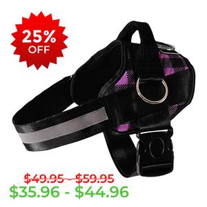 Purple Plaid Joyride Basic Essential Dog Harness 1.0 Buy Cheap Manchester Great Sale