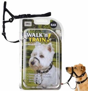 Coastal Walk n Train Head Halter Black Outlet 100% Original