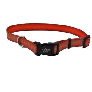 Coastal Pet Products LazerBrite Patterned Collar Clearance Discounts