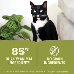 ACANA Premium Pâté, Beef, Chicken & Tuna Recipe Wet Cat Food Low Cost For Sale