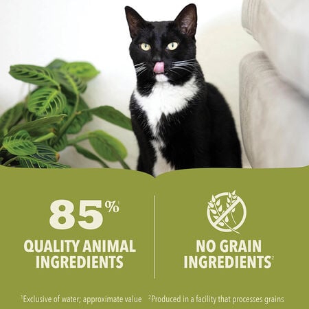 ACANA Premium Pâté, Lamb & Lamb Liver Recipe Wet Cat Food Cheap Hot Sale
