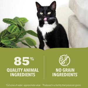 ACANA Premium Pâté Salmon & Chicken Recipe in Bone Broth Wet Cat Food Low Pice Fee Shipping