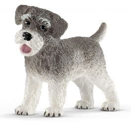 Miniature Schnauzer Cheap Browse