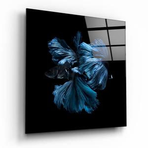 Betta Fish Glass Wall Art Excellent
