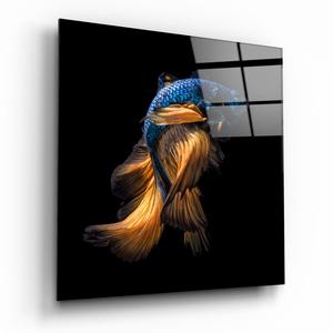 Betta Fish Glass Wall Art Top Quality For Sale