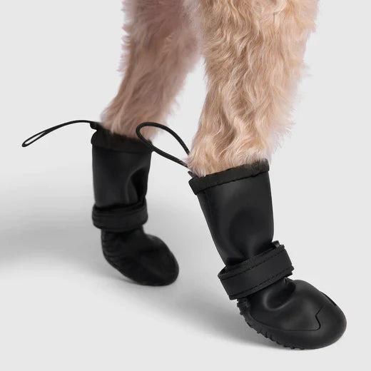 Canada Pooch - Waterproof Rain Boots (Black) Outlet Deals