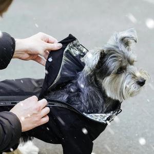 Canada Pooch - the Snow Suites (Black) Discount Looking For