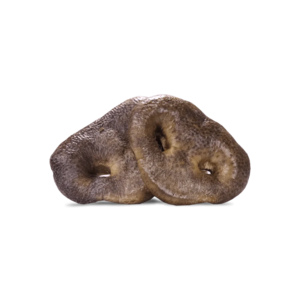 Vital Essential - Pig Snout Outlet Factory Outlet