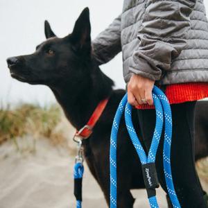 ZippyPaws - Climbers Dog Leash – ORIGINAL – 6 Feet Discount Collections