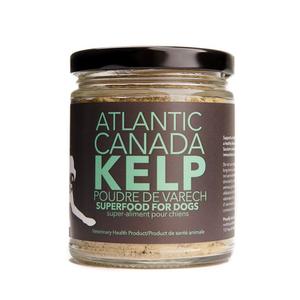 North Hound Life - Atlantic Kelp for Dogs, 110g Genuine Sale Online