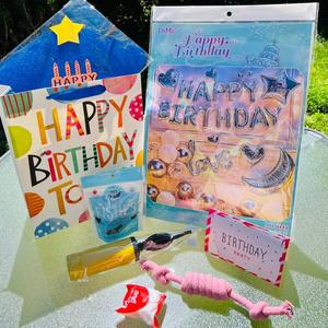 Pet Birthday Gift Package, Silver Outlet Original
