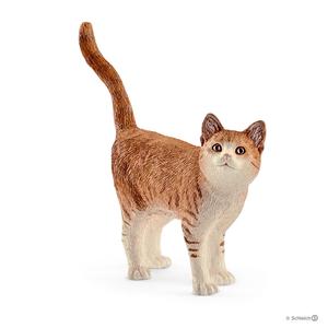 Cat Cheap Sale Best Store To Get