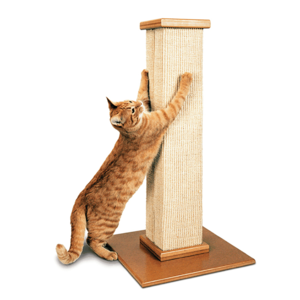 81cm Heavy-Duty Cat Scratching Post by SmartCat Sale Popular
