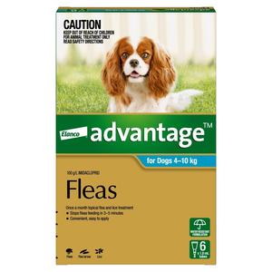 ADVANTAGE AQUA MEDIUM DOG 6'S Sale Get To Buy