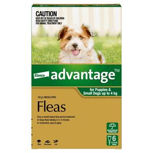 Advantage Dog Green Small (6 Pack) Fashionable Online