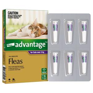 Advantage Purple Large Cat (6 Pack) Shop For Cheap Pice