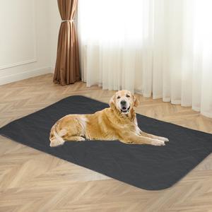 4x Washable Dog & Puppy Training Pad - Jumbo Free Shipping Best