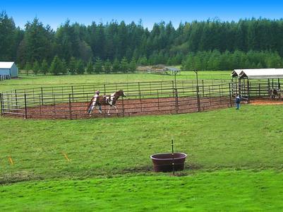 60' Round Pen (HiQual) The Cheapest Cheap Pice