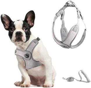 Pet Care Dog Harness Lrg Visit Online