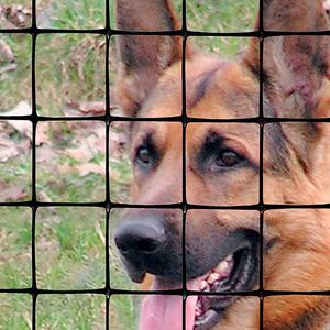 C-Flex Yard and Pet Fence Cheap Sale Huge Surprise