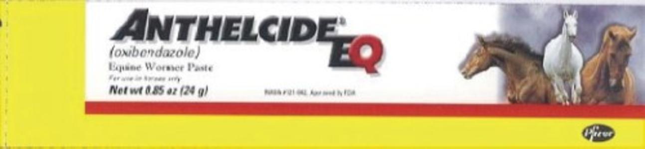ZOETIS ANTHELCIDE®EQ PASTE Footlocker For Sale