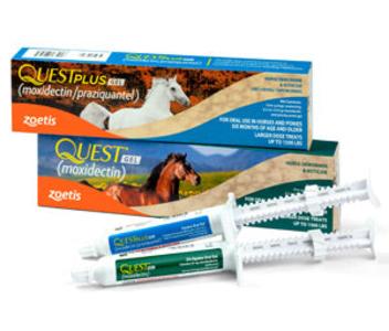 Zoetis Quest Horse Dewormer Gel Outlet Online