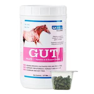 Uckele GUT™ Pellets Equine (2.7 LB) Discount Authentic Online