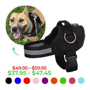 Joyride Basic Essential Dog Harness 1.0 (Solid Colors) Buy Cheap Wholesale Pice