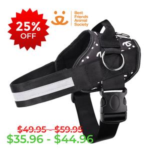 Best Friends Animal Society SPECIAL EDITION Joyride Basic Essential Dog Harness 1.0 With Paypal
