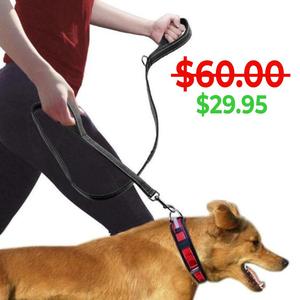Heavy Duty Leash Free Shipping Top Quality