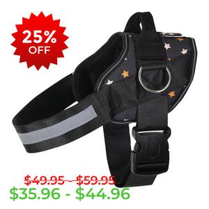 Fall Stars Joyride Basic Essential Dog Harness 1.0 Free Shipping Pick A Best