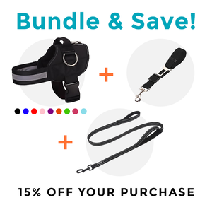 Joyride Harness - 15% Off Sale Nicekicks