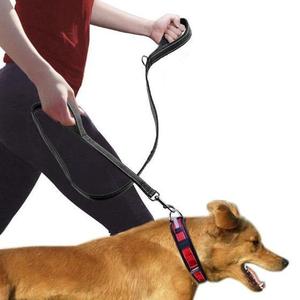Heavy Duty Dog Leash | 15% Off Professional Online