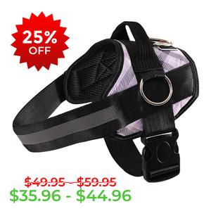 Lavender Plaid Joyride Basic Essential Dog Harness 1.0 Clearance Perfect